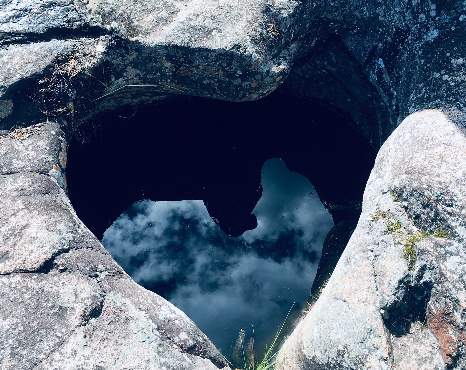 Heart